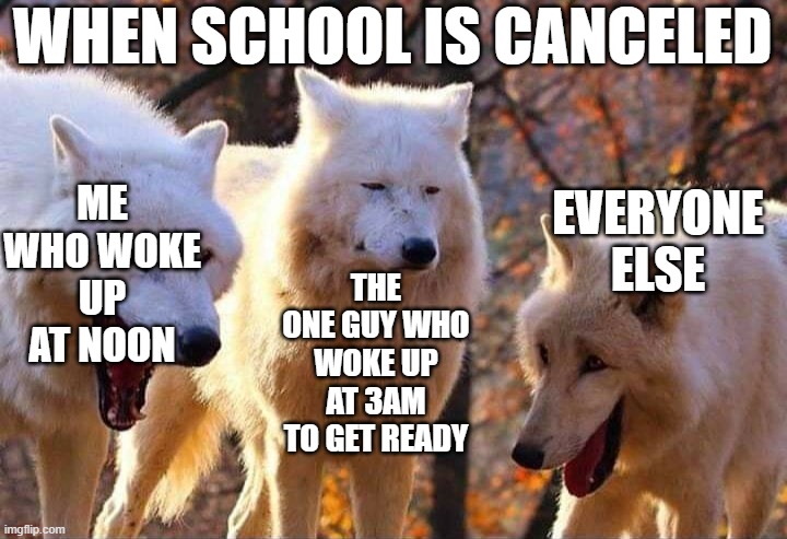 when school is canceled | WHEN SCHOOL IS CANCELED; ME WHO WOKE UP AT NOON; EVERYONE ELSE; THE ONE GUY WHO WOKE UP AT 3AM TO GET READY | image tagged in laughing wolf,memes | made w/ Imgflip meme maker