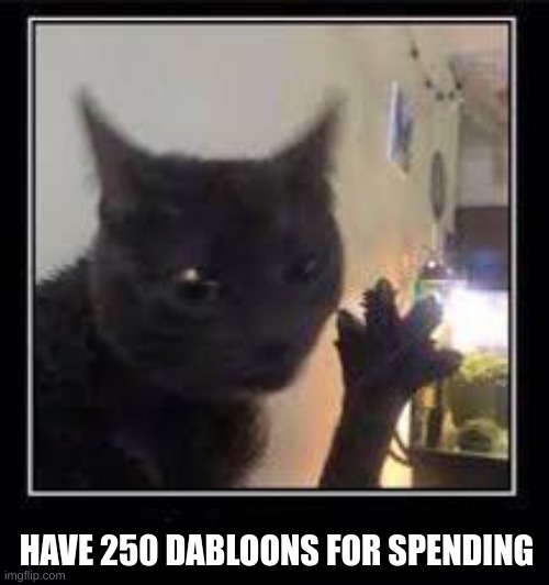 Dabloons Cat | HAVE 250 DABLOONS FOR SPENDING | image tagged in dabloons cat | made w/ Imgflip meme maker