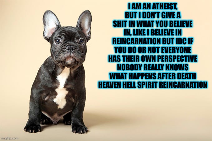 KSDawg | I AM AN ATHEIST, BUT I DON'T GIVE A SHIT IN WHAT YOU BELIEVE IN, LIKE I BELIEVE IN REINCARNATION BUT IDC IF YOU DO OR NOT EVERYONE HAS THEIR OWN PERSPECTIVE NOBODY REALLY KNOWS WHAT HAPPENS AFTER DEATH HEAVEN HELL SPIRIT REINCARNATION | image tagged in ksdawg | made w/ Imgflip meme maker