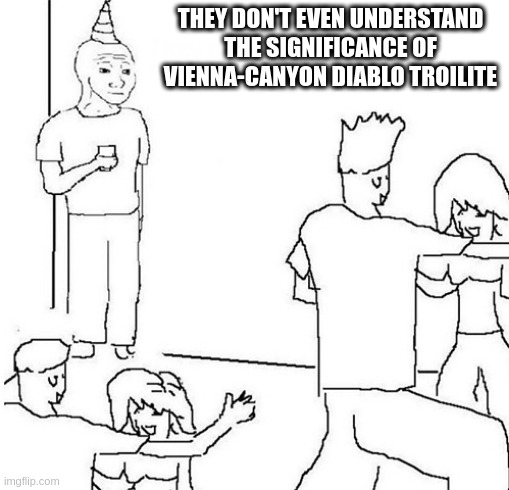 Guy in corner of party | THEY DON'T EVEN UNDERSTAND THE SIGNIFICANCE OF VIENNA-CANYON DIABLO TROILITE | image tagged in guy in corner of party | made w/ Imgflip meme maker