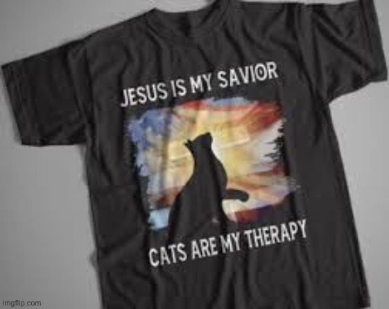 Cats | image tagged in cats | made w/ Imgflip meme maker