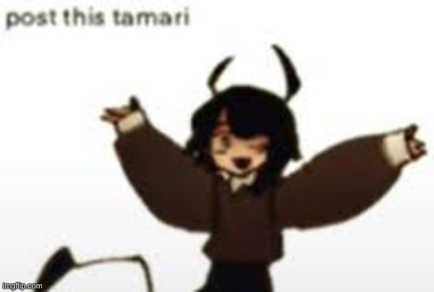 post this tamari | image tagged in post this tamari | made w/ Imgflip meme maker