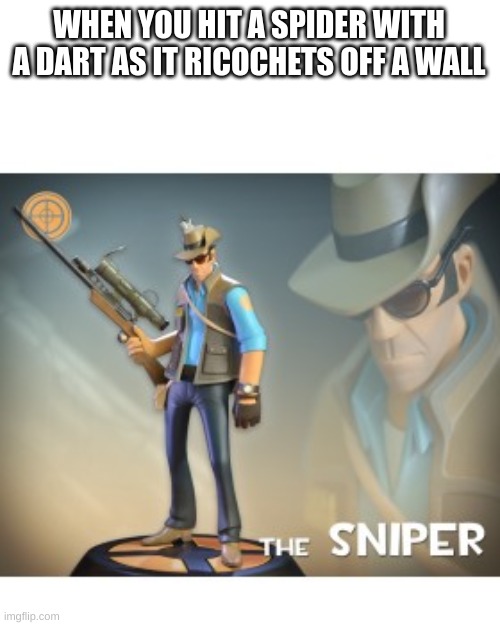 The Sniper TF2 meme | WHEN YOU HIT A SPIDER WITH A DART AS IT RICOCHETS OFF A WALL | image tagged in the sniper tf2 meme,sniper | made w/ Imgflip meme maker