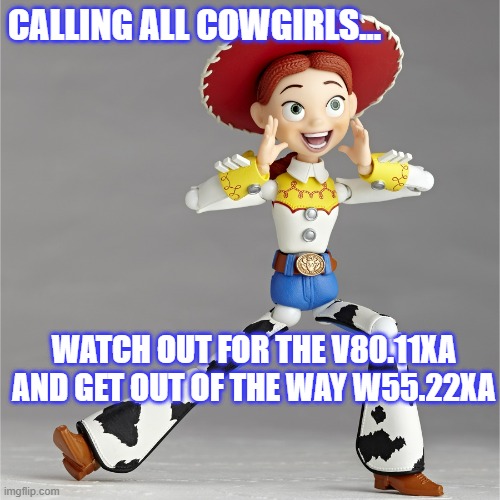 calling the cowgirls | CALLING ALL COWGIRLS... WATCH OUT FOR THE V80.11XA
AND GET OUT OF THE WAY W55.22XA | image tagged in cowgirl | made w/ Imgflip meme maker