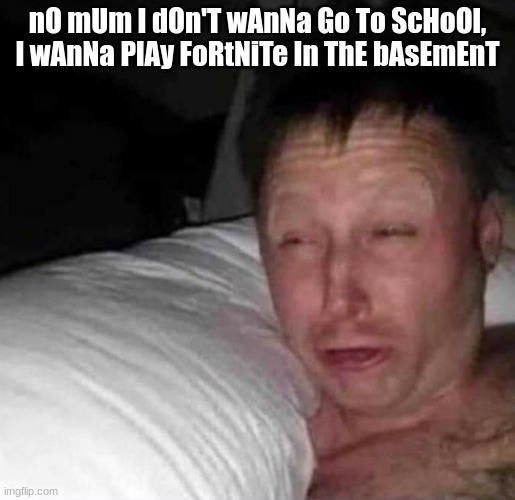 First day of school |  nO mUm I dOn'T wAnNa Go To ScHoOl, I wAnNa PlAy FoRtNiTe In ThE bAsEmEnT | image tagged in lol,funny,memes,school,sleepy dog,anti furry | made w/ Imgflip meme maker