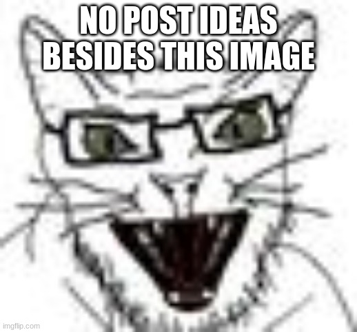 catjak | NO POST IDEAS BESIDES THIS IMAGE | image tagged in catjak | made w/ Imgflip meme maker