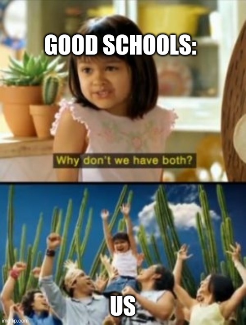 Why Not Both Meme | GOOD SCHOOLS: US | image tagged in memes,why not both | made w/ Imgflip meme maker
