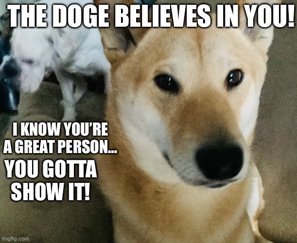 Inspiring Doge | THE DOGE BELIEVES IN YOU! I KNOW YOU’RE A GREAT PERSON…; YOU GOTTA SHOW IT! | image tagged in doge,inspirational memes,inspirational | made w/ Imgflip meme maker