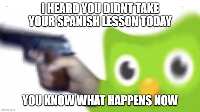 duolingo gun | I HEARD YOU DIDNT TAKE YOUR SPANISH LESSON TODAY YOU KNOW WHAT HAPPENS NOW | image tagged in duolingo gun | made w/ Imgflip meme maker