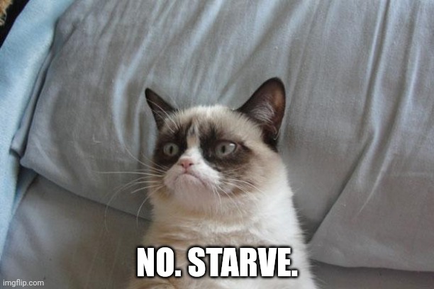 Grumpy Cat Bed Meme | NO. STARVE. | image tagged in memes,grumpy cat bed,grumpy cat | made w/ Imgflip meme maker
