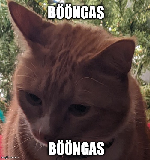 bööngas | BÖÖNGAS; BÖÖNGAS | image tagged in b ngas | made w/ Imgflip meme maker