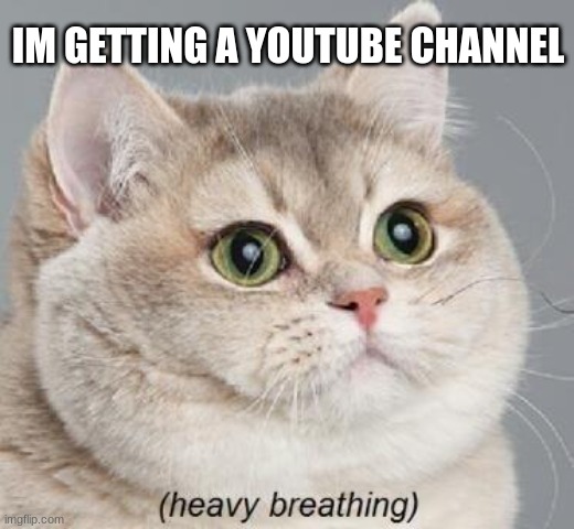 YES | IM GETTING A YOUTUBE CHANNEL | image tagged in memes,heavy breathing cat | made w/ Imgflip meme maker