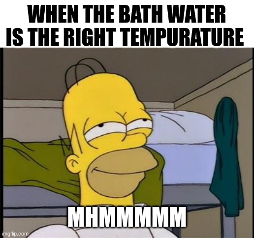 Homer satisfied | WHEN THE BATH WATER IS THE RIGHT TEMPURATURE; MHMMMMM | image tagged in homer satisfied | made w/ Imgflip meme maker
