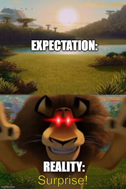 Expectation VS Reality | EXPECTATION:; REALITY: | image tagged in alex the lion jumpscare,expectation vs reality | made w/ Imgflip meme maker