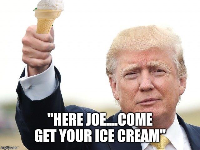 Joe likes Ice cream | "HERE JOE....COME GET YOUR ICE CREAM" | image tagged in trump upvote | made w/ Imgflip meme maker