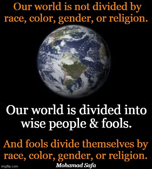 The Party of 'Tolerance' ~~ Dividing People Rather Than Uniting | Mohamad Safa | image tagged in politics,men vs women,blacks vs whites,division,not unity,wise vs foolish | made w/ Imgflip meme maker