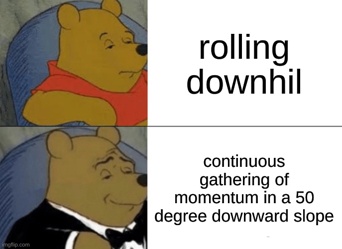 Tuxedo Winnie The Pooh | rolling downhil; continuous gathering of momentum in a 50 degree downward slope | image tagged in memes,tuxedo winnie the pooh | made w/ Imgflip meme maker