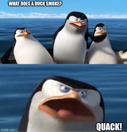 Doesn't that make you | WHAT DOES A DUCK SMOKE? QUACK! | image tagged in doesn't that make you | made w/ Imgflip meme maker
