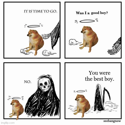 He is the best boi. | good boy? You were the best boy. | image tagged in it is time to go | made w/ Imgflip meme maker