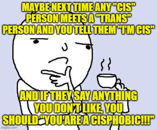 thinking meme | MAYBE NEXT TIME ANY "CIS" PERSON MEETS A "TRANS" PERSON AND YOU TELL THEM "I'M CIS" AND IF THEY SAY ANYTHING YOU DON'T LIKE, YOU SHOULD "YOU | image tagged in thinking meme | made w/ Imgflip meme maker