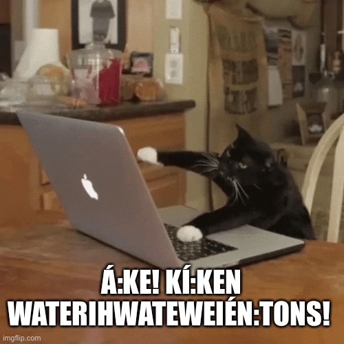 Cat on computer | Á:KE! KÍ:KEN WATERIHWATEWEIÉN:TONS! | image tagged in cat on computer | made w/ Imgflip meme maker