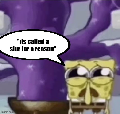 Zad Spunchbop | "its called a slur for a reason" | image tagged in zad spunchbop | made w/ Imgflip meme maker