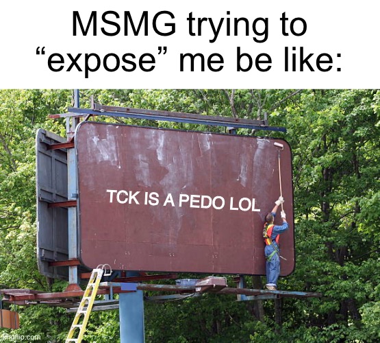 MSMG trying to “expose” me be like:; TCK IS A PEDO LOL | image tagged in memes | made w/ Imgflip meme maker