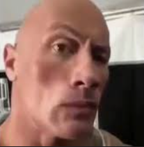 High Quality the rock eyebrow raise Blank Meme Template