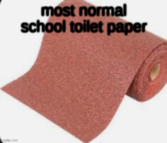 school tp | most normal school toilet paper | image tagged in world most normal school toilet paper | made w/ Imgflip meme maker