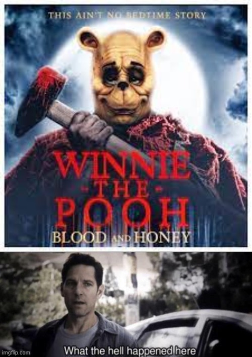 image tagged in what the hell happened here,wtf,winnie the pooh,horror,fun,what a terrible day to have eyes | made w/ Imgflip meme maker