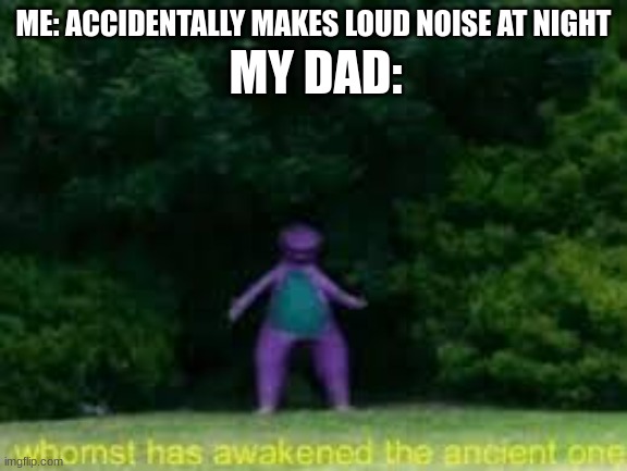 Sneaking at night is hard :( | MY DAD:; ME: ACCIDENTALLY MAKES LOUD NOISE AT NIGHT | image tagged in whomst has awaken the acient one | made w/ Imgflip meme maker