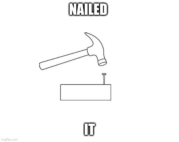 Hammer and Nail | NAILED IT | image tagged in hammer and nail | made w/ Imgflip meme maker
