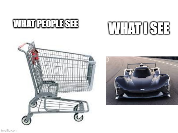 Vroom Vroom | WHAT I SEE; WHAT PEOPLE SEE | image tagged in car,shopping cart | made w/ Imgflip meme maker
