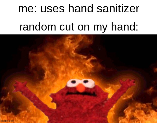 don't play with fire kids | me: uses hand sanitizer; random cut on my hand: | image tagged in fun,elmo fire,so true memes,relatable,relatable memes | made w/ Imgflip meme maker