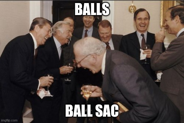 Laughing Men In Suits Meme | BALLS; BALL SAC | image tagged in memes,laughing men in suits | made w/ Imgflip meme maker