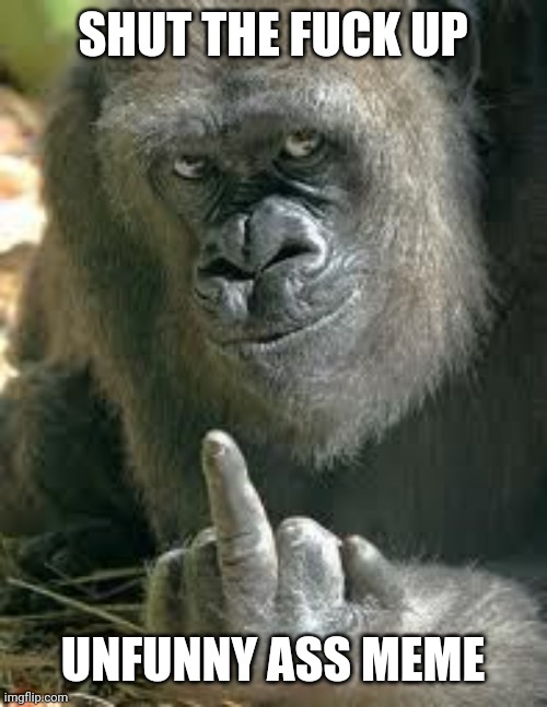 Gorrila flipping the middle finger up | SHUT THE FUCK UP UNFUNNY ASS MEME | image tagged in gorrila flipping the middle finger up | made w/ Imgflip meme maker