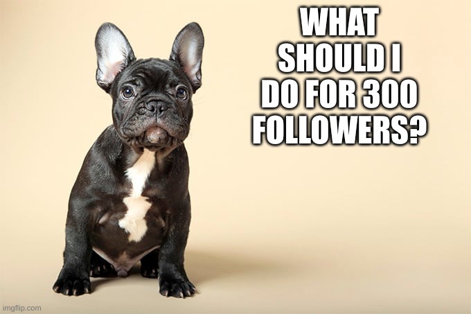 KSDawg | WHAT SHOULD I DO FOR 300 FOLLOWERS? | image tagged in ksdawg | made w/ Imgflip meme maker