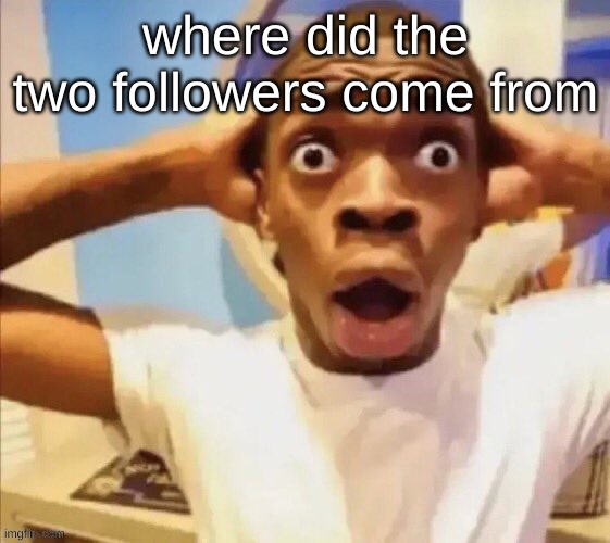 in shock | where did the two followers come from | image tagged in in shock | made w/ Imgflip meme maker