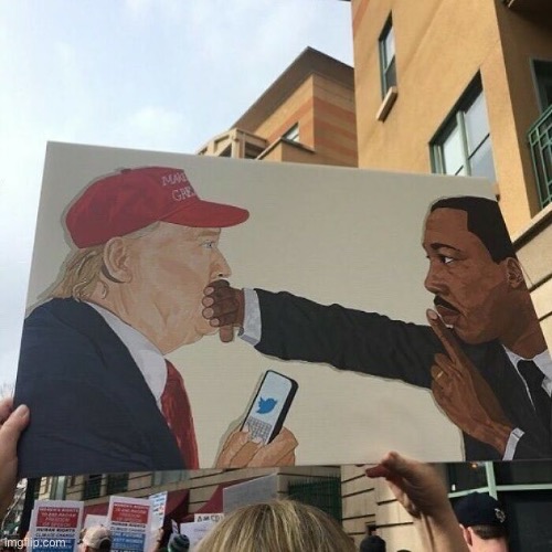Still don’t know why Elon unbanned this scumbag over a poll | image tagged in donald trump sucks,martin luther king jr,painting | made w/ Imgflip meme maker