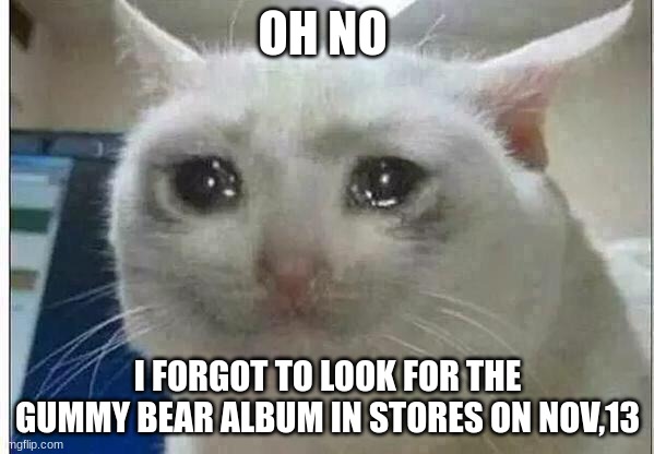 crying cat | OH NO; I FORGOT TO LOOK FOR THE GUMMY BEAR ALBUM IN STORES ON NOV,13 | image tagged in crying cat | made w/ Imgflip meme maker