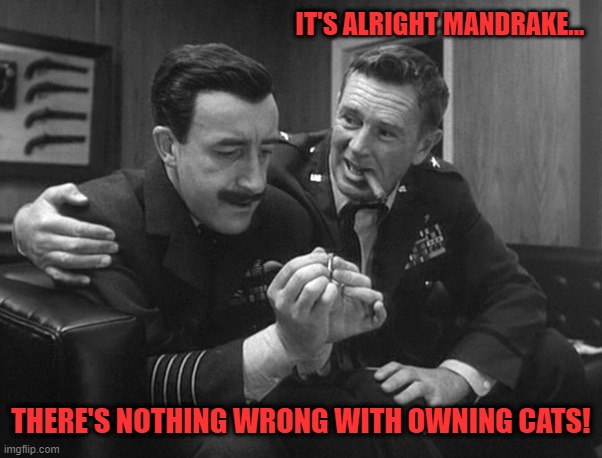 IT'S ALRIGHT MANDRAKE... THERE'S NOTHING WRONG WITH OWNING CATS! | made w/ Imgflip meme maker