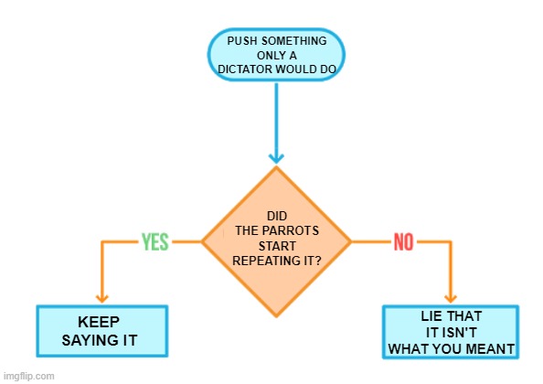 Trump's apparent campaign rhetoric/policy advocacy selection process. | PUSH SOMETHING ONLY A DICTATOR WOULD DO; DID THE PARROTS START REPEATING IT? LIE THAT IT ISN'T WHAT YOU MEANT; KEEP SAYING IT | image tagged in flowchart blank | made w/ Imgflip meme maker