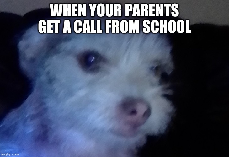 Hi | WHEN YOUR PARENTS GET A CALL FROM SCHOOL | image tagged in hide the pain harold | made w/ Imgflip meme maker