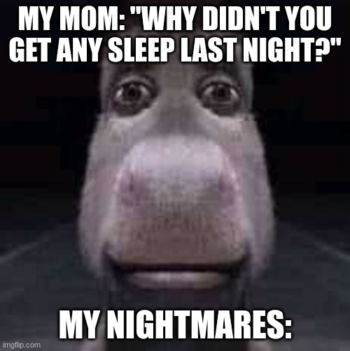 Donkey staring | MY MOM: "WHY DIDN'T YOU GET ANY SLEEP LAST NIGHT?"; MY NIGHTMARES: | image tagged in donkey staring | made w/ Imgflip meme maker
