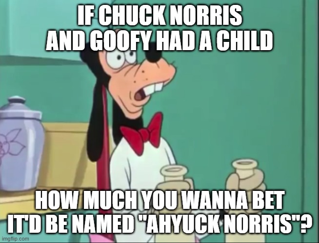 Chuck Norris Goofy | IF CHUCK NORRIS AND GOOFY HAD A CHILD; HOW MUCH YOU WANNA BET IT'D BE NAMED "AHYUCK NORRIS"? | image tagged in oblivious goofy | made w/ Imgflip meme maker