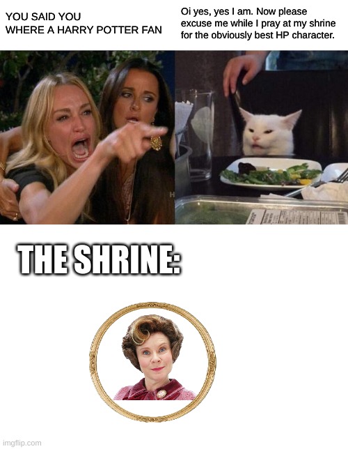 Woman Yelling At Cat | YOU SAID YOU WHERE A HARRY POTTER FAN; Oi yes, yes I am. Now please excuse me while I pray at my shrine for the obviously best HP character. THE SHRINE: | image tagged in memes,woman yelling at cat | made w/ Imgflip meme maker