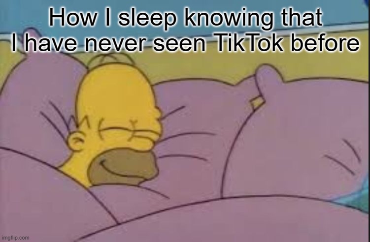 And I never will | How I sleep knowing that I have never seen TikTok before | image tagged in homer sleeping,memes,homer simpson,how i sleep homer simpson | made w/ Imgflip meme maker