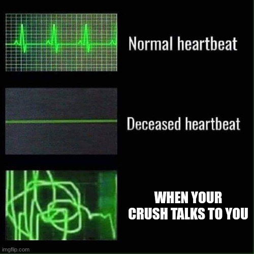 Heart beat meme | WHEN YOUR CRUSH TALKS TO YOU | image tagged in heart beat meme | made w/ Imgflip meme maker