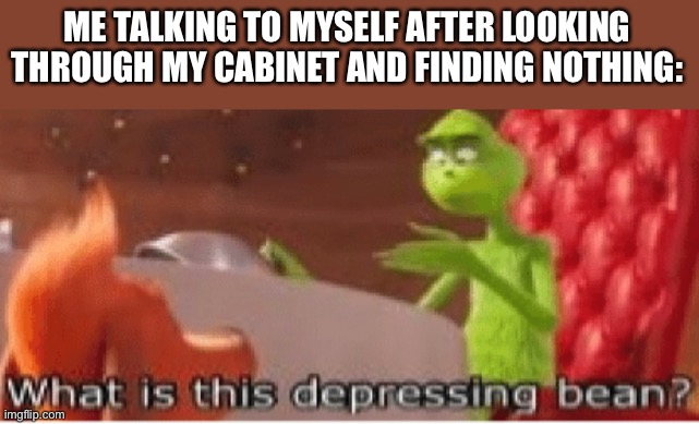 What is this depressing bean? | ME TALKING TO MYSELF AFTER LOOKING THROUGH MY CABINET AND FINDING NOTHING: | image tagged in what is this depressing bean | made w/ Imgflip meme maker