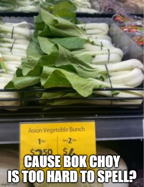 Spelling | CAUSE BOK CHOY IS TOO HARD TO SPELL? | image tagged in you had one job | made w/ Imgflip meme maker